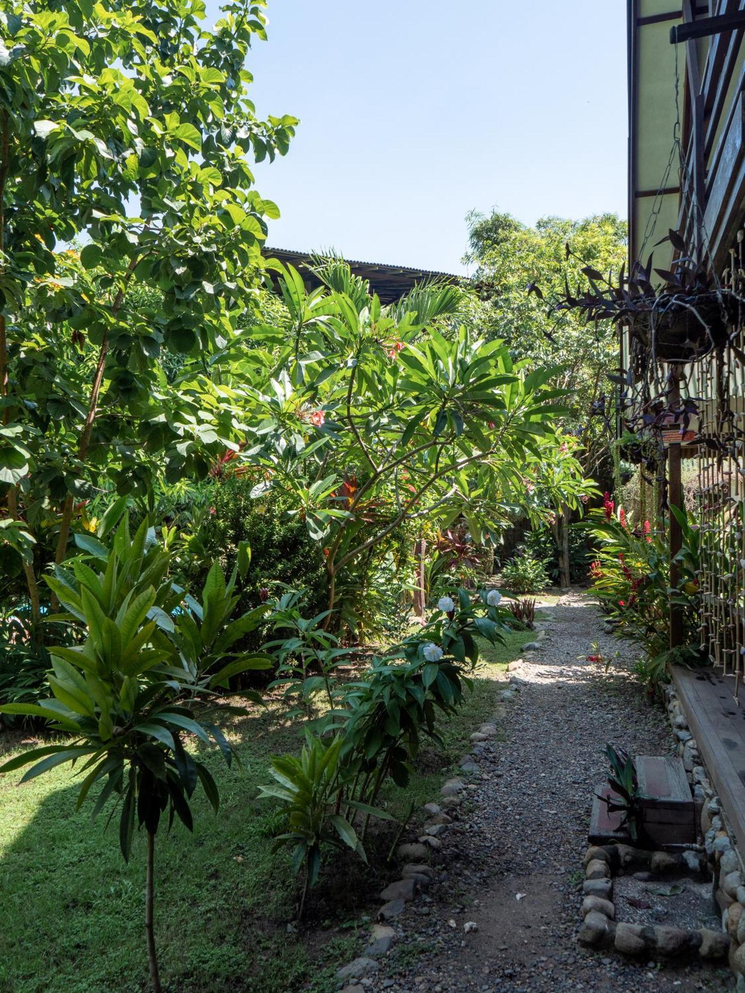 Lodge Nubá Boutique Palomino