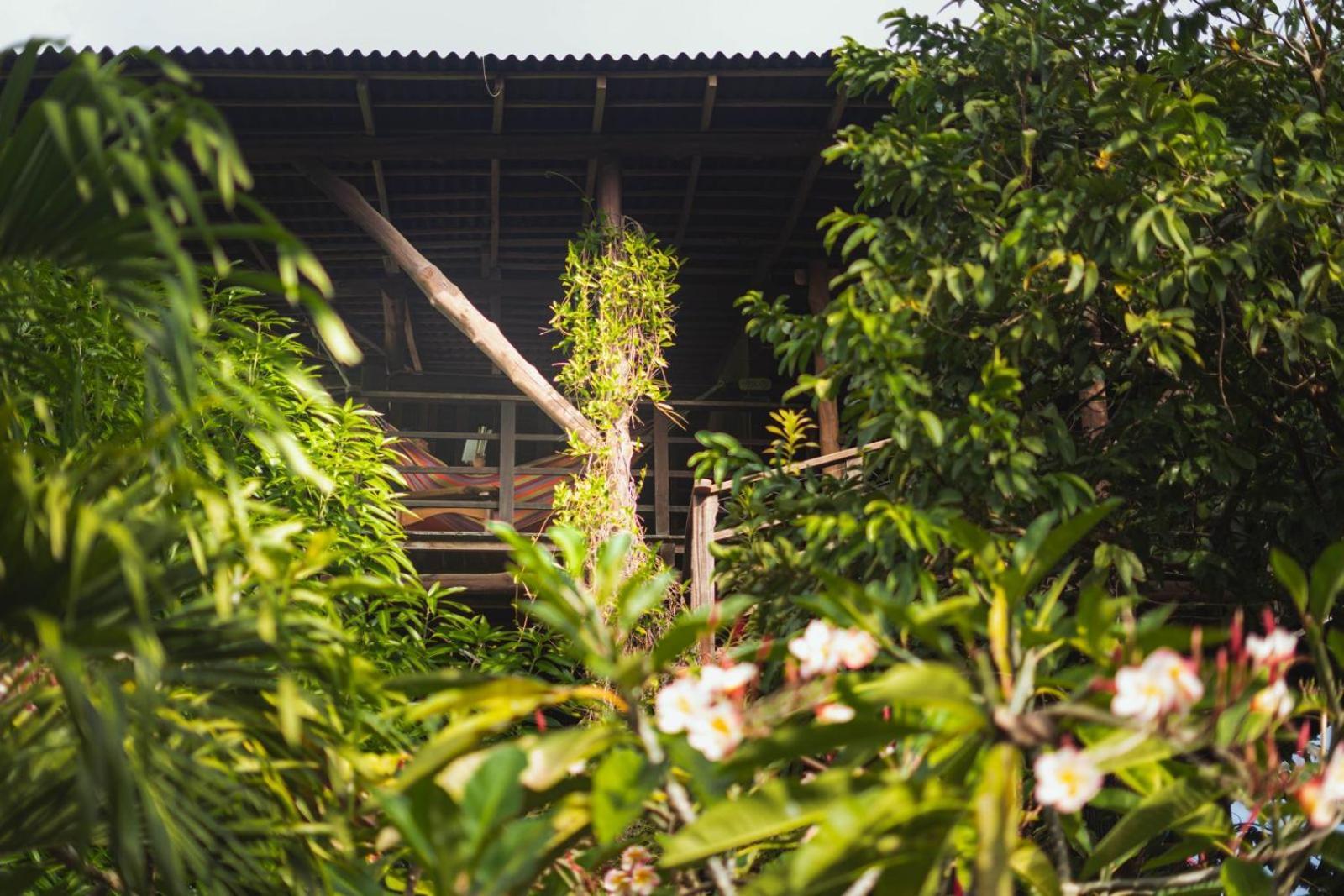 Nubá Boutique Lodge *